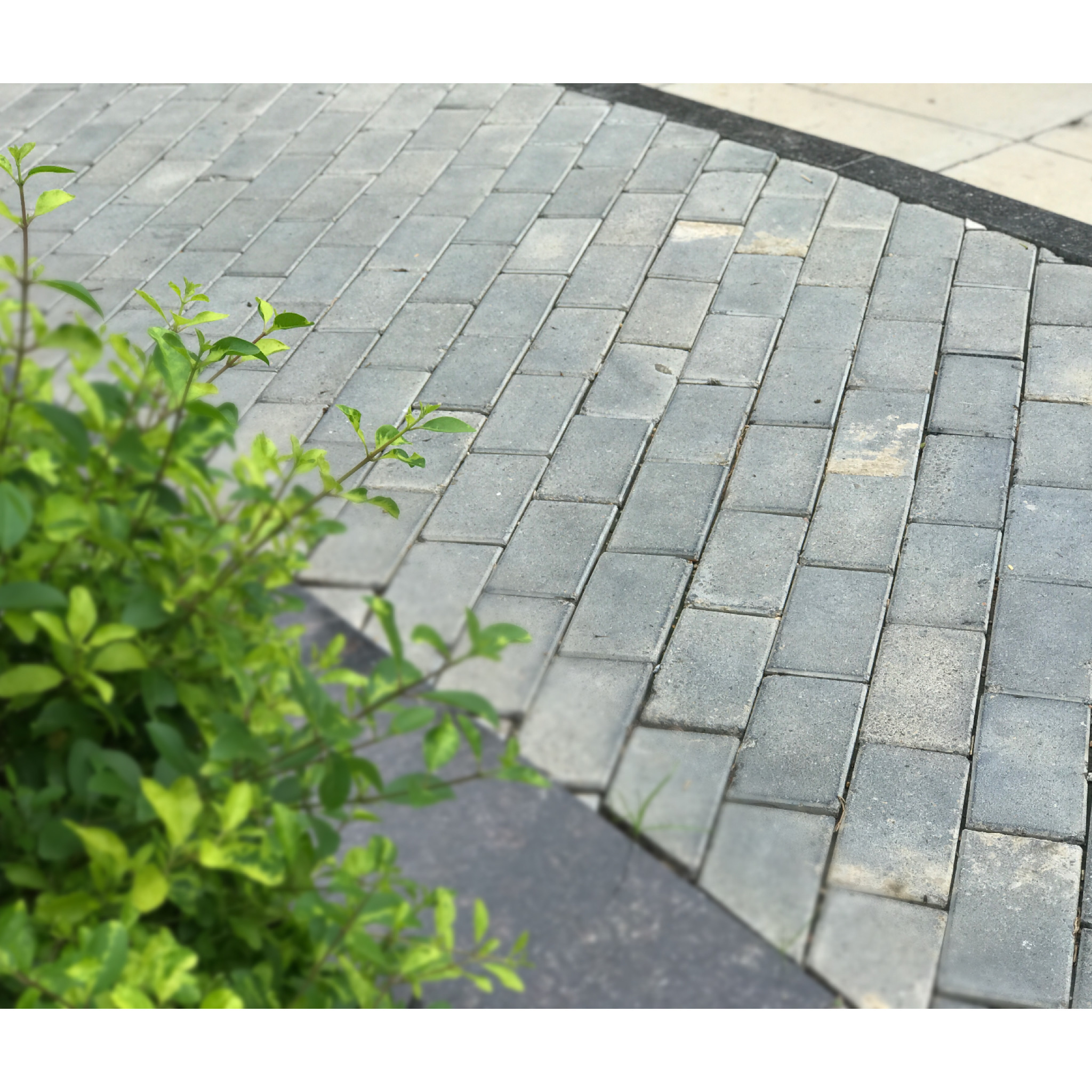 Brick 8"x4"3