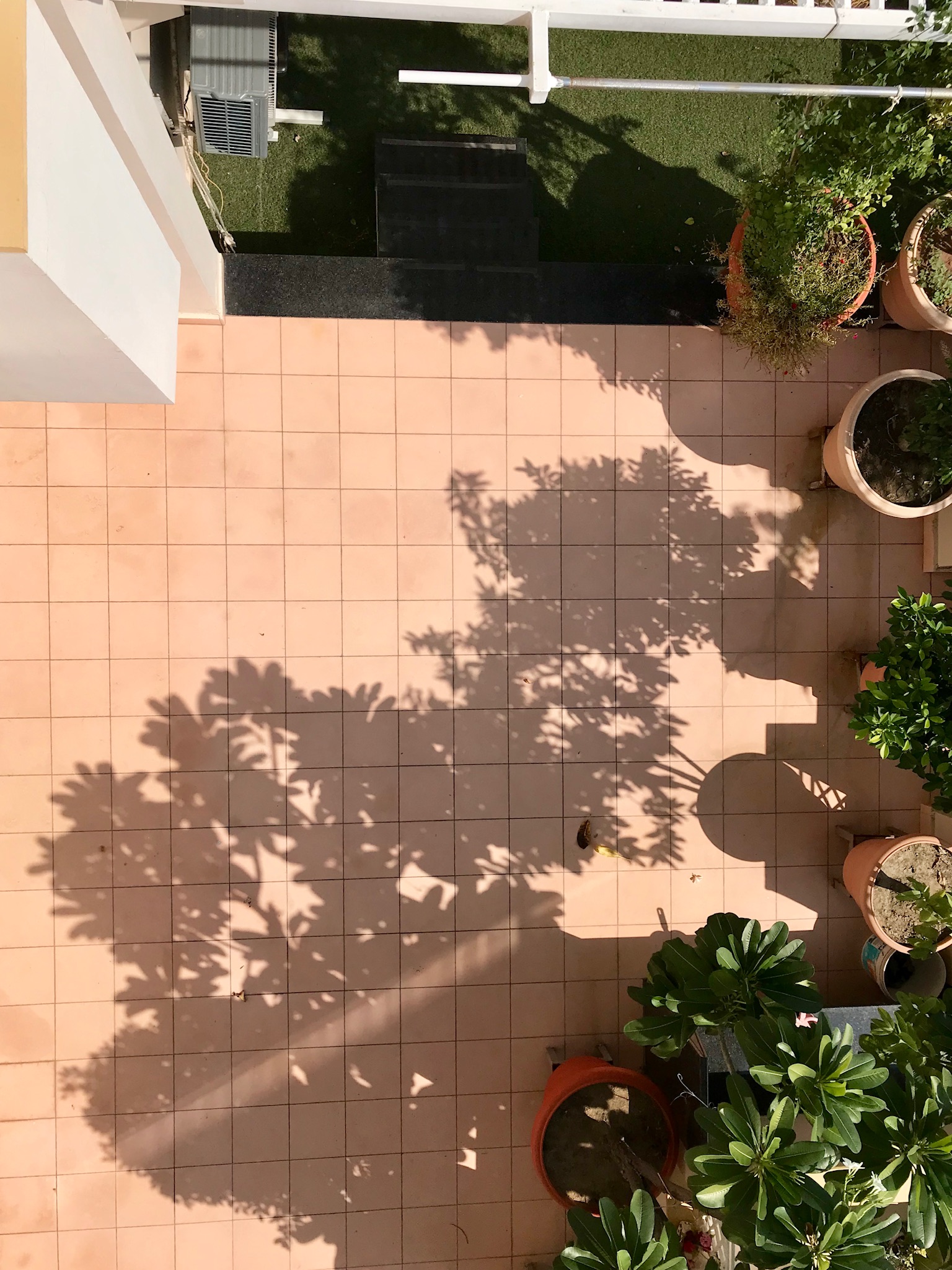 Terrazo Laying4