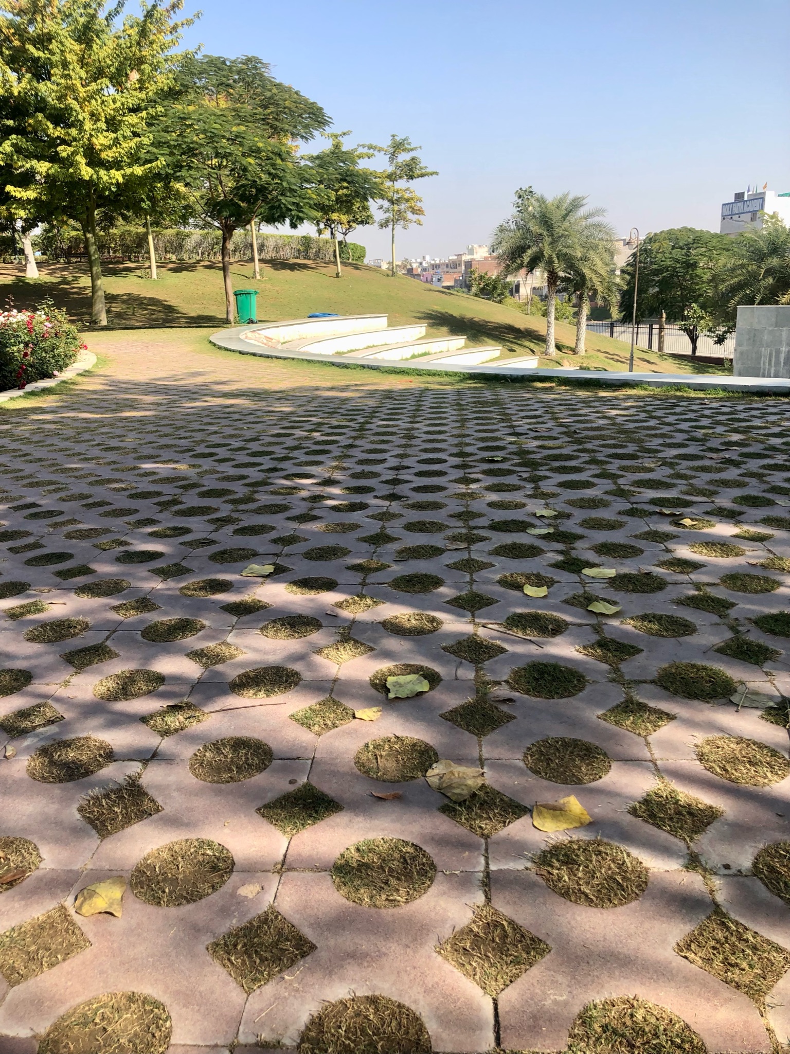 Grass Pavers